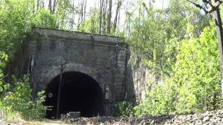 231 K 8 sortant du Tunnel de Rilly la Montagne le 29 4 2017 [upl. by Okechuku]