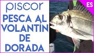 Pesca al Volantín de Dorada [upl. by Ahsyak797]