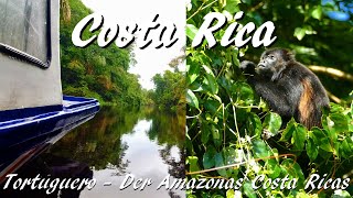 Costa Rica Tortuguero  mit dem Boot unterwegs im wilden Teil der Karibik [upl. by Aynat157]