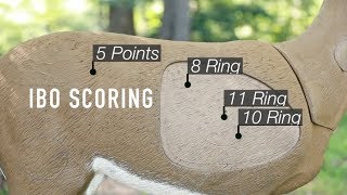 How to Score 3D Targets IBO and ASA Scoring [upl. by Yerocaj]