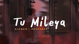 Tu Mileya  Darshan Raval  Slowed Reverbed Lofi Version [upl. by Biles384]