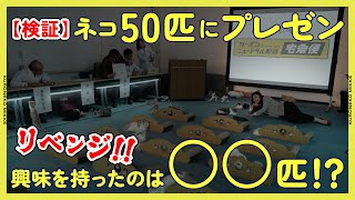 【リベンジ検証】50匹中何匹のネコが“ヤマト運輸の環境への取り組み”に興味を持つの【専門家指導】クロネコみっけ 検証 モニタリング カーボンニュートラル サステナビリティ SDGs [upl. by Ashien936]