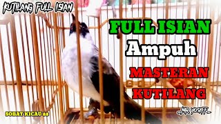 Suara Burung Kutilang Gacor Full Isian masteran kutilang isian mewah [upl. by Yves521]