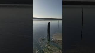 View from Langton Hive Point near Langton Herring Dorset [upl. by Isia]