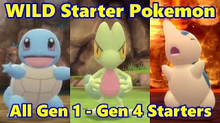 How to Find WILD STARTER POKEMON in Pokemon Brilliant Diamond amp Shining Pearl Generation 1  4 [upl. by Agnese739]