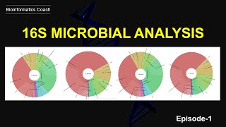 Metagenomic Sequence Classification wth KRAKEN  16s rna microbial analysis of nanopore data [upl. by Eiramlatsyrk605]