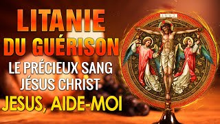 LITANIE du PRÉCIEUX Sang de JÉSUS 🙏 PRIÈRE de PROTECTION par le SANG PRÉCIEUX de JÉSUS [upl. by Elraet]