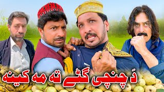 Da Chenge Gate Ta Ma Kena New Funny Video Sada Gul Vines [upl. by Pentheam]