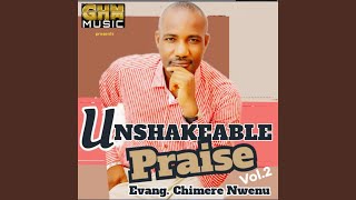 Unshakeable Praise Vol 2 [upl. by Anihc]