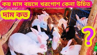 খরগোশের দাম  খরগোশের দাম কত  Khorgosh Er Dam  Khorgos Er Dam Koto  Rabbit Price  Khamar Kutir [upl. by Derfiniw667]