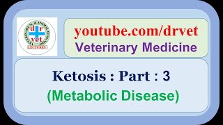 Bovine Ketosis 3 [upl. by Karlotta]