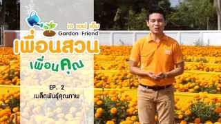 เอ เอฟ เอ็มฯ เพื่อนสวน เพื่อนคุณ EP2  ใส่ใจ คัดสรร เมล็ดพันธุ์คุณภาพ [upl. by Arvin]