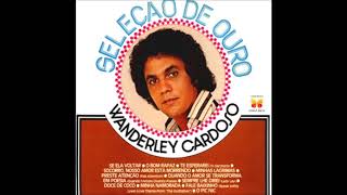 WANDERLEYCARDOSO  LP 1977 [upl. by Idaline829]