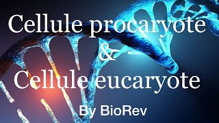 Cellule procaryote Vs cellule eucaryote [upl. by Ayortal931]