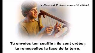 Ps103 O Seigneur envoie ton esprit LYRIC [upl. by Ikcim]