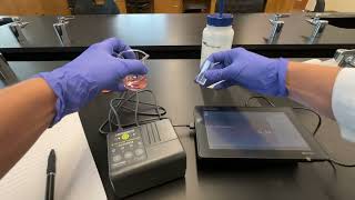 Absorbance Measurements of Solutions [upl. by Olnee418]