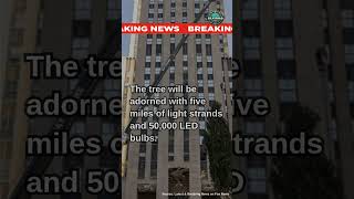 Rockefeller Center Christmas Tree Arrives in NYC KamalaHarris trump2024 Election2024 foryou [upl. by Lilah]