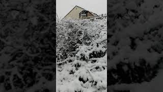 Totnes snow  Devon  UK March 2018 [upl. by Andras]