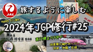 【2024年Vlog ・JGP修行25】初めて往復乗り継ぎセーバーを購入 1日4レグに挑戦✨機内で沖縄グルメを楽しむ羽田✈️沖縄✈️石垣看護師じょうじの暮らし [upl. by Analla]