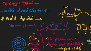 Quantization of Energy in Sinhala ශක්ති ක්වොන්ටම්කරණය AL Chemistry Explained in Sinhala in 2024 [upl. by Isa]