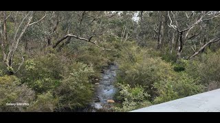 Jarrahdale Forest Trip [upl. by Allertse]