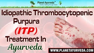 Idiopathic Thrombocytopenic Purpura  ITP Treatment in Ayurveda [upl. by Sitarski226]