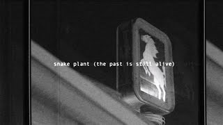 Hurray for the Riff Raff  Snake Plant The Past Is Still Alive Official Lyric Video [upl. by Tu]