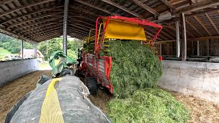 3rd Cut Going In  Grass Silage 2024 [upl. by Ailahk544]