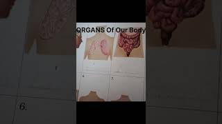 What are organ body Adityakumar [upl. by Eila162]