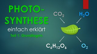 1 Grundlagen  PHOTOSYNTHESE einfach erklärt [upl. by Mosenthal]