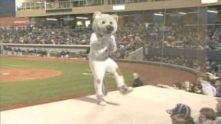 Mascot Falls off Dugout at TripleA Baseball Game [upl. by Nerok]