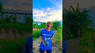 Monyet Joget shortvideo [upl. by Aniger]