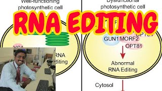 RNA EDITING  TAMIL EXPLNATION [upl. by Nrubloc]