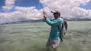 Bonefish In Hawaii [upl. by Anesuza371]