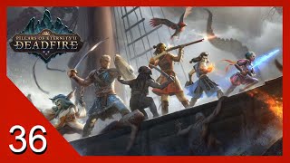 Meeting Mad Morena  Pillars of Eternity 2 Deadfire  Lets Play  36 [upl. by Nolita]