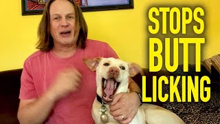 Fix Your Dogs Anal Sacs  WITHOUT Touching Them [upl. by Trout]