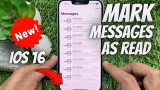 How to Mark all Messages as Read in iPhone iOS 16 [upl. by Stephenie314]