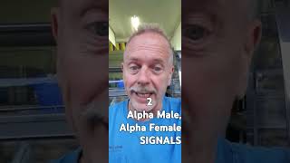 2 Alpha Male or Female Signals [upl. by Anattar]