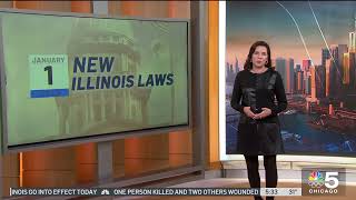 A look at new Illinois laws for 2024 [upl. by Rosenblum]