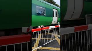 Class 29000 at Barberstown Level Crossing Co Dublin shorts train trains [upl. by Halie]