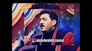 Best Hits Of Abdulwahid Zaxoyi [upl. by Lapotin522]