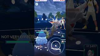 Swoobat tries to sweep ENTIRE TEAM shorts gobattleleague pokemongo [upl. by Olegnaid]