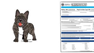 Finding and Using Your Dog’s Pin Number [upl. by Madaras806]