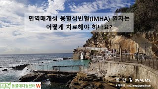 질병정보 20221011 IMHA는 어떻게 치료하나요 면역매개성용혈성빈혈 리브감마 IVIG 류마이드 leflunomide 사이폴엔 MMF 셀셉트 [upl. by Aratak805]