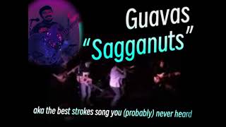 Guavas  “Sagganuts” The Strokes Cover [upl. by Suivatco]