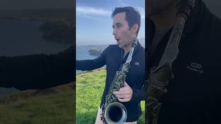 Ella baila sola 💃🏽🎶 ellabailasola eslabonarmado regionalmexicano altosax samiperfectosax [upl. by Atnohsal441]