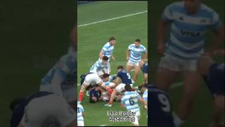 France Rugby try to score at Los Pumas 🥰 france rugby [upl. by Huberto]