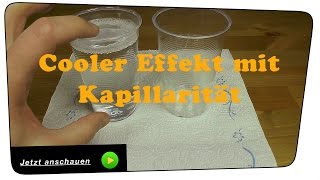 Der Kapillar Effekt  ExperimentTutorial [upl. by Gombach]