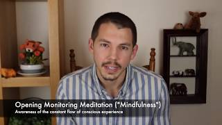 What is Open Monitoring quotMindfulnessquot Meditation [upl. by Heringer]