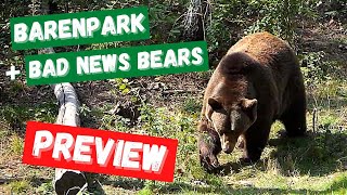 Barenpark amp Bad News Bears expasion How to playreview  All Around The Board [upl. by Elleivad844]